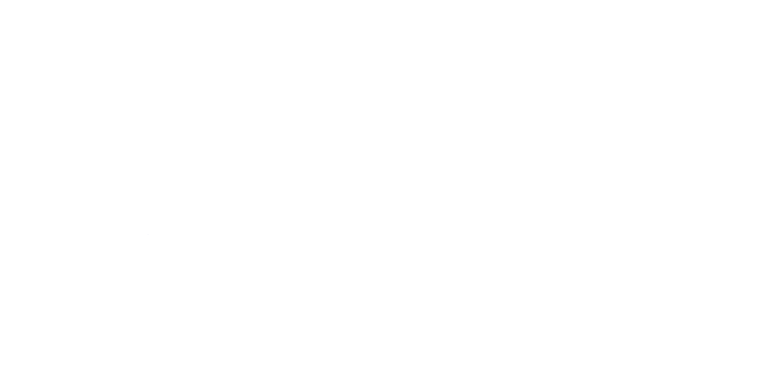 Visa Card Logo